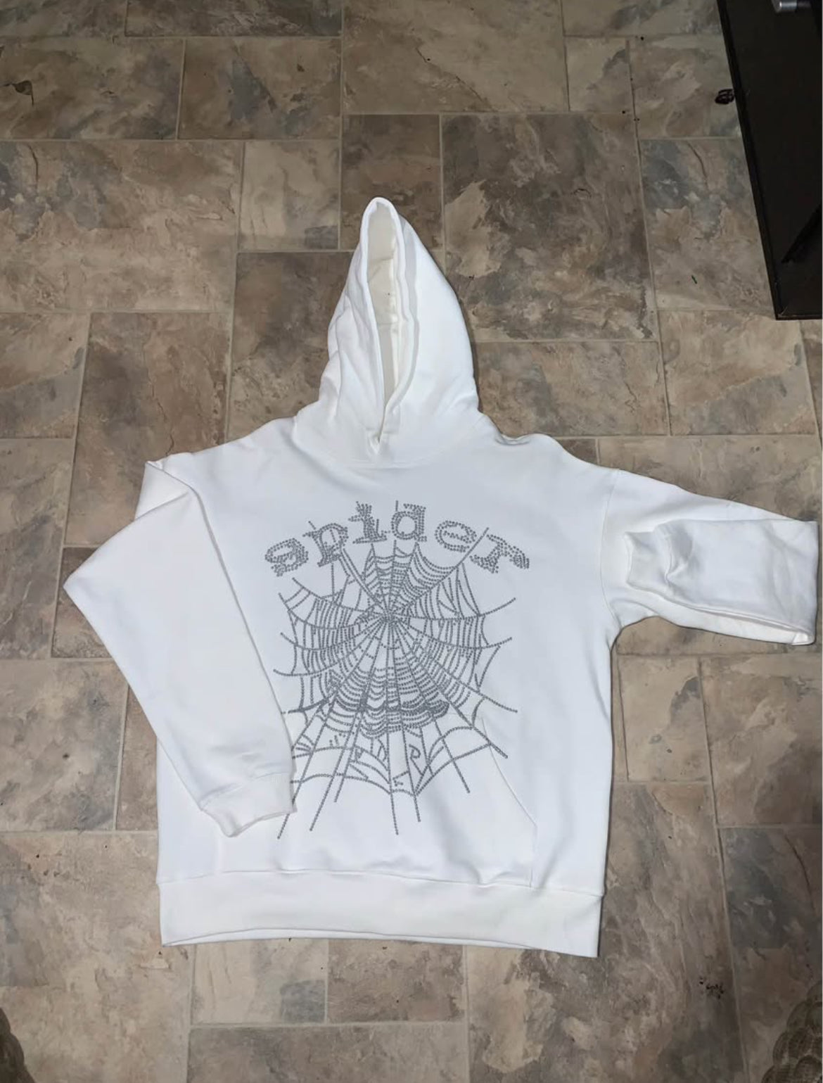 🕷️ hoodie